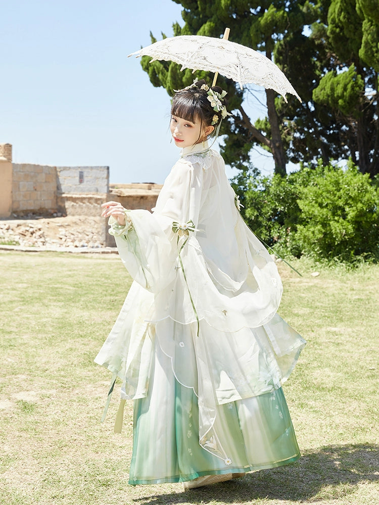 Ningmeng Baihe : Lemon Lily