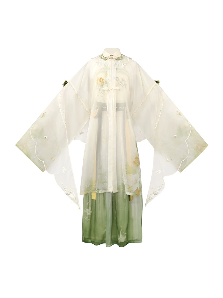 Ningmeng Baihe : Lemon Lily