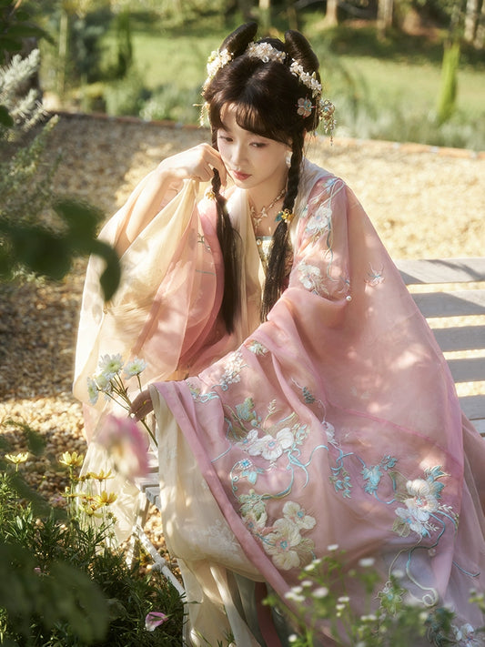 Die Yuan You Sheng : Phonopapilio