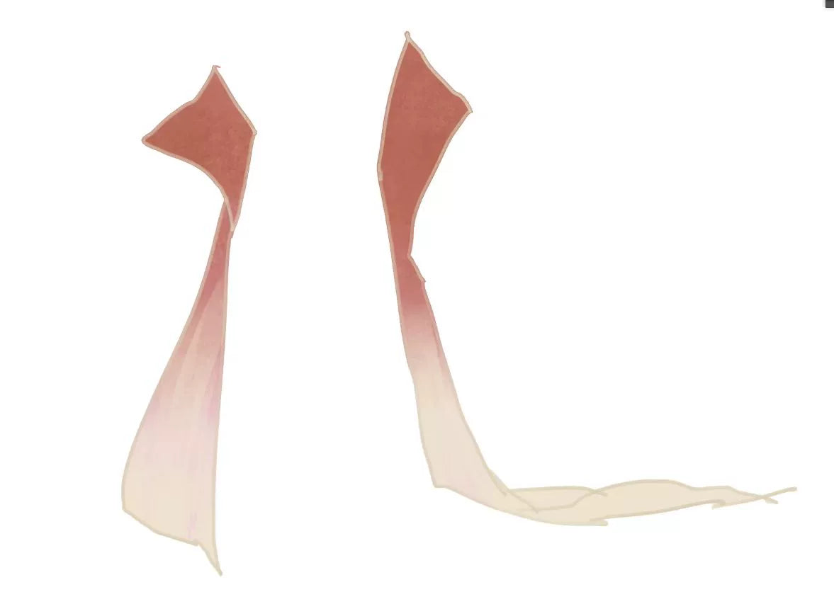 Timeless Fragrance Series Viridrise Hanfu