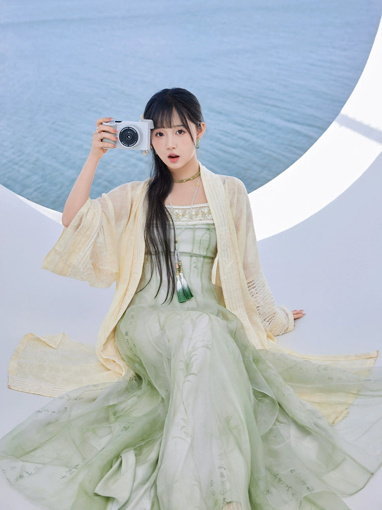 Wen Liu : Willow Inquiry