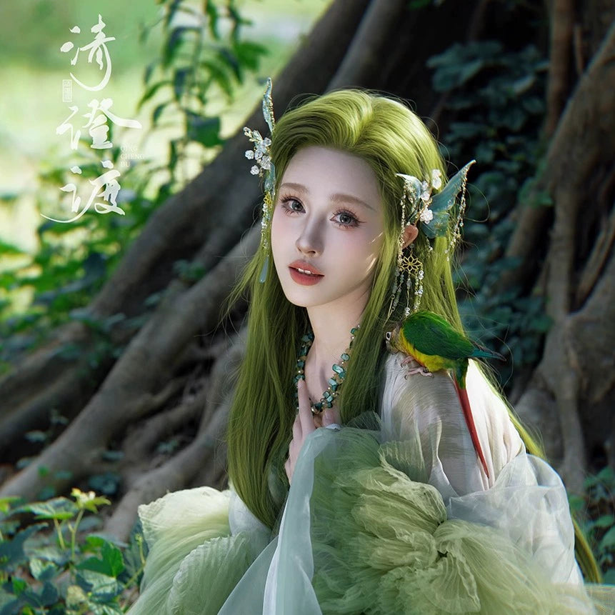 Costume Series Cheng Han Hanfu Dance Skirt