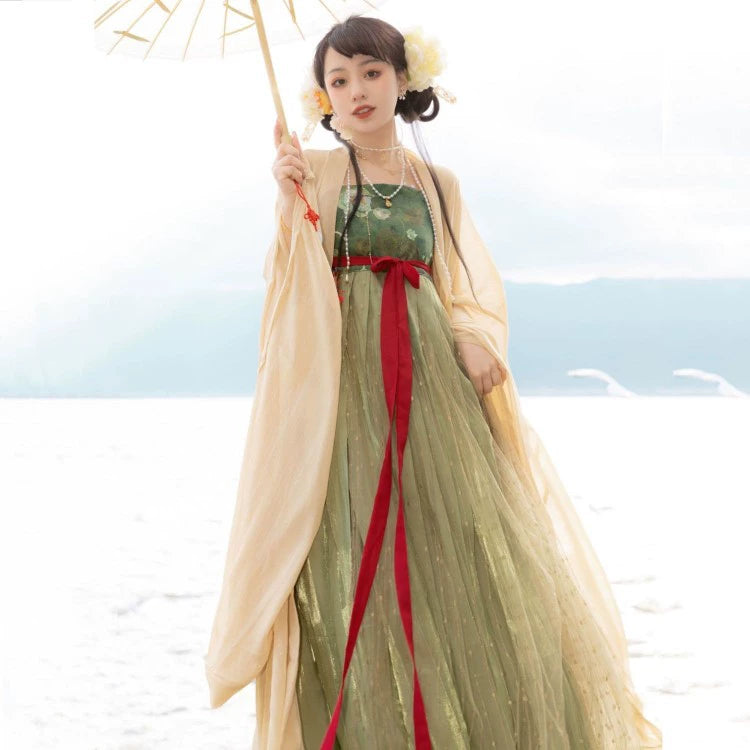 Tang Dynasty Plus Size Myrobalan Skirt Dress
