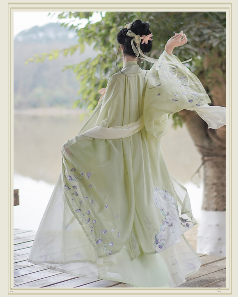 LOOKBOOK SERIES Tang Dynasty Cloud Butterfly Hanfu