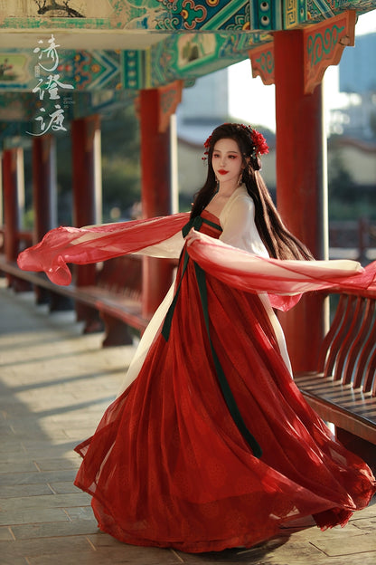 Costume Series Tang Wu Zhou Hanfu Dance Skirt