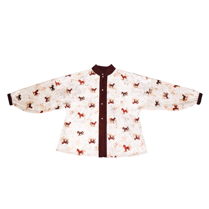 Dreams Steed Brings Luck