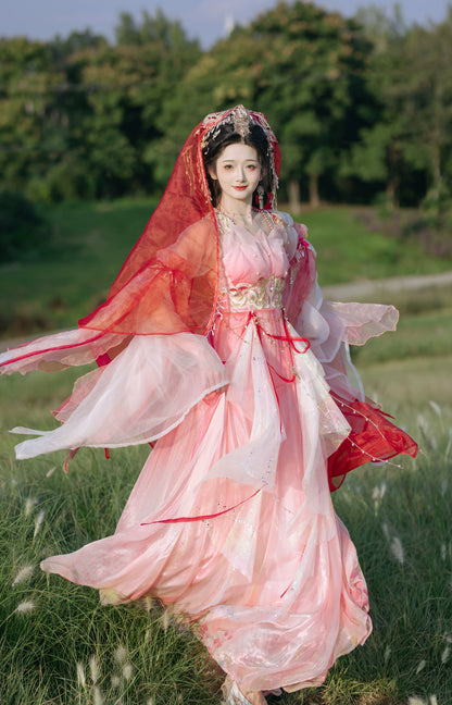 Lookbook Series Tang Hanfu Western Pink Princess