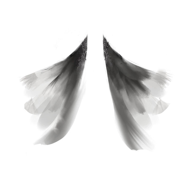 Wuxia Chic Series Ink Mist Gown