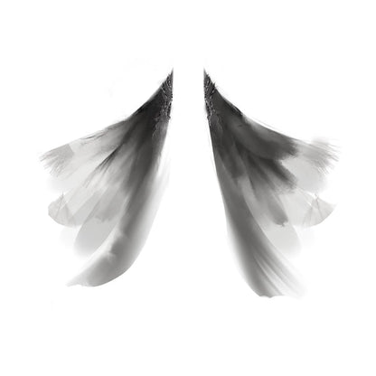 Wuxia Chic Series Ink Mist Gown