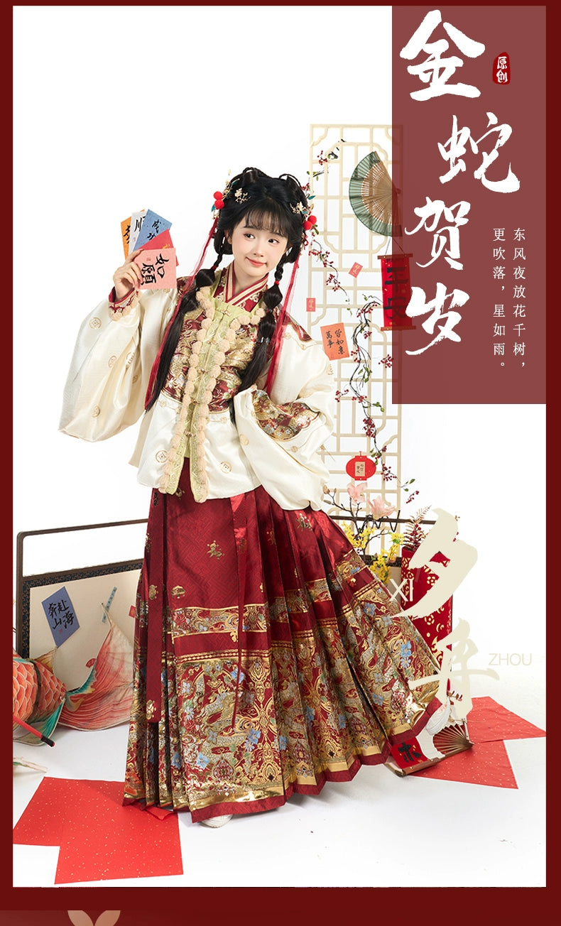 Lookbook Series Ming Hanfu 2025 Year's Eve