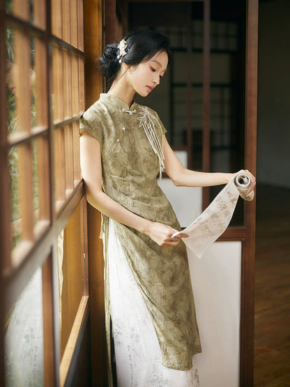 Ben Cao Zhu Ying : Acupuncture Lumina