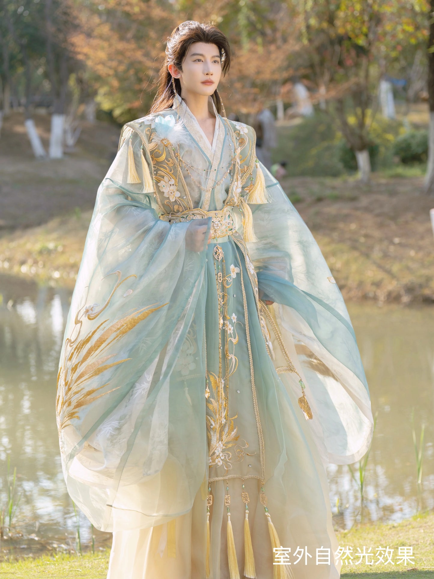 Celestial Silhouette Series Life is Like A Dream