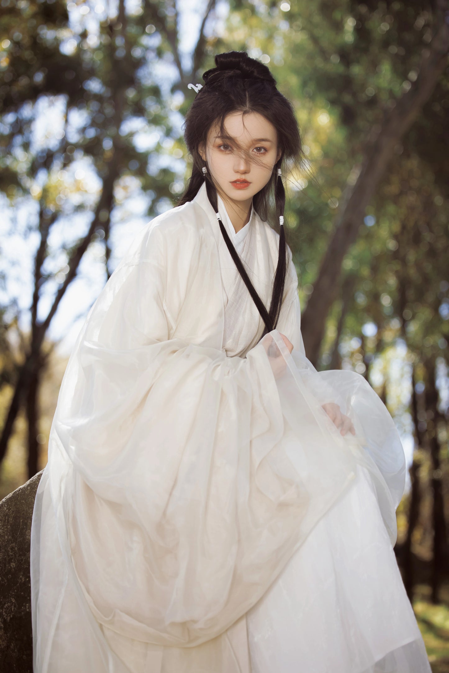 Timeless Fragrance Series Moye Hanfu