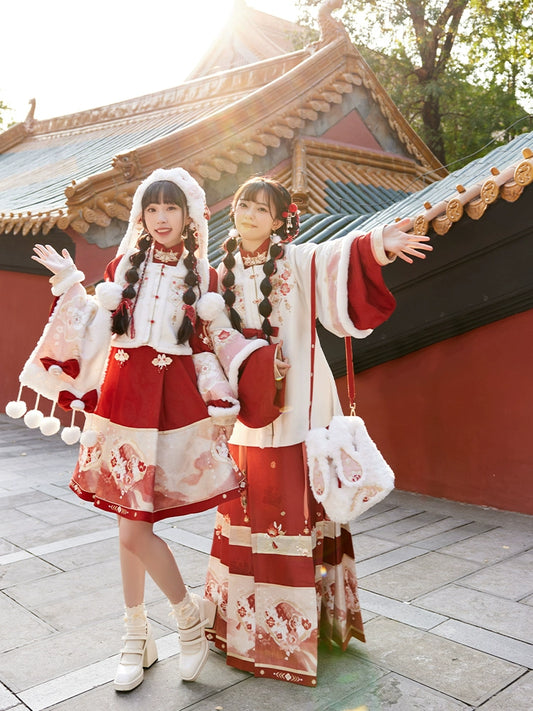 Jitu Hechun : Auspicious Bunny's Spring Greetings