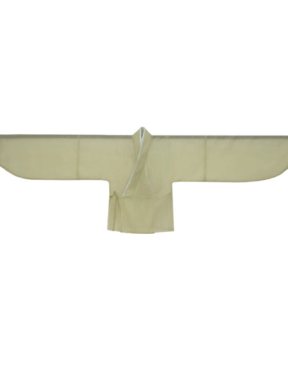 Shangyao Retreat Series Green Jin Hanfu