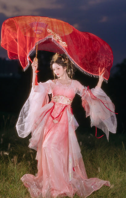 Lookbook Series Tang Hanfu Western Pink Princess