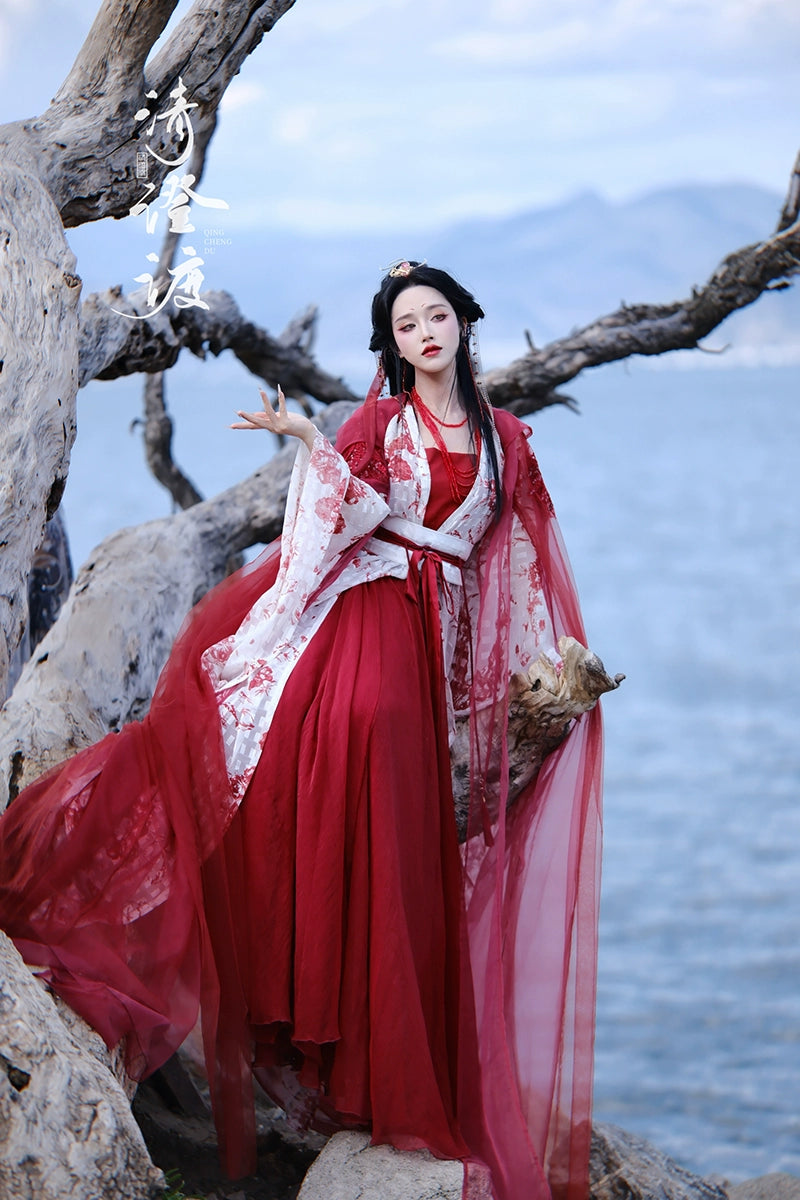 Costume Series Northern & Southern Dynasties Hanfu Dance Skirt