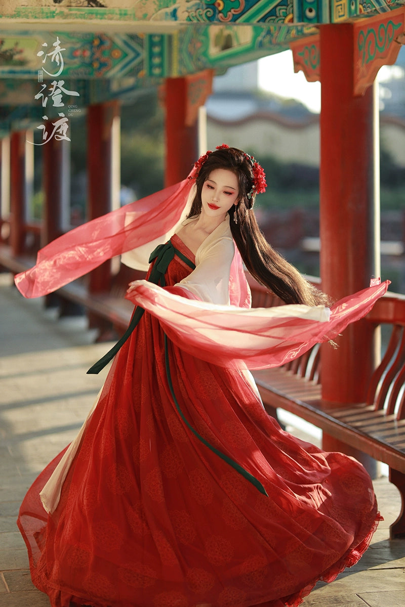 Costume Series Tang Wu Zhou Hanfu Dance Skirt