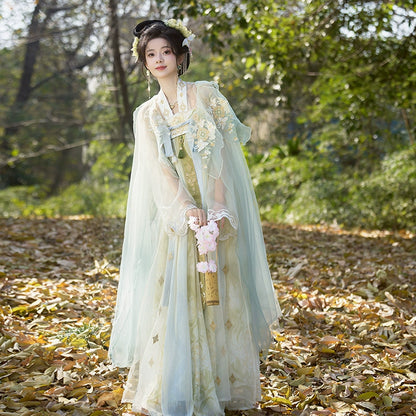 Lookbook Series Tang Hanfu 2025 Spring Awakens