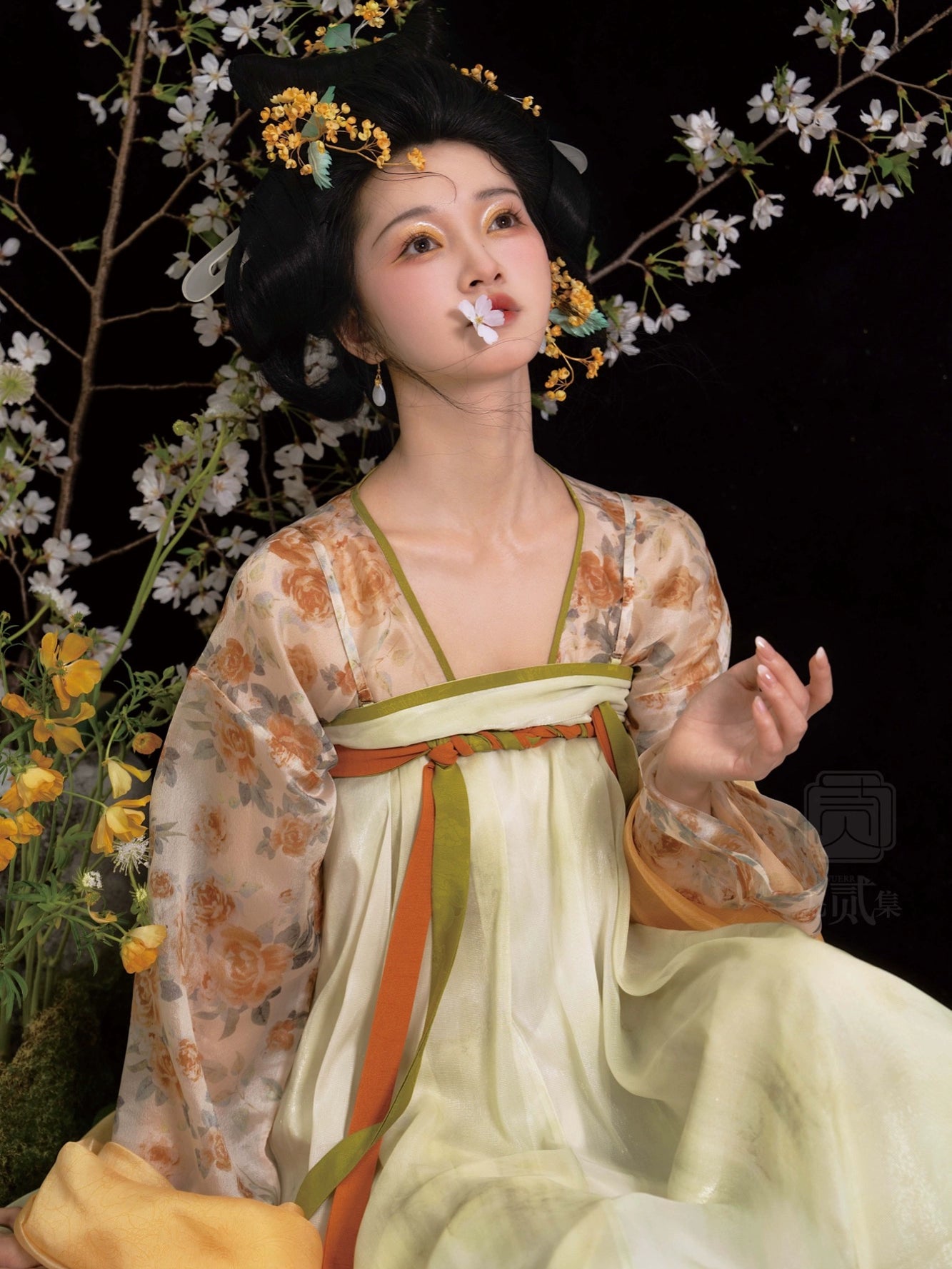 Lookbook Series Amber Flower Autumn Tang Hanfu