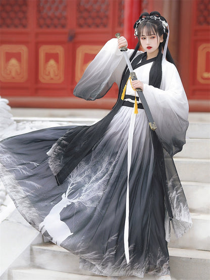 Hanfu Women's Summer Autumn Chinese style Fairy Song Dynasty