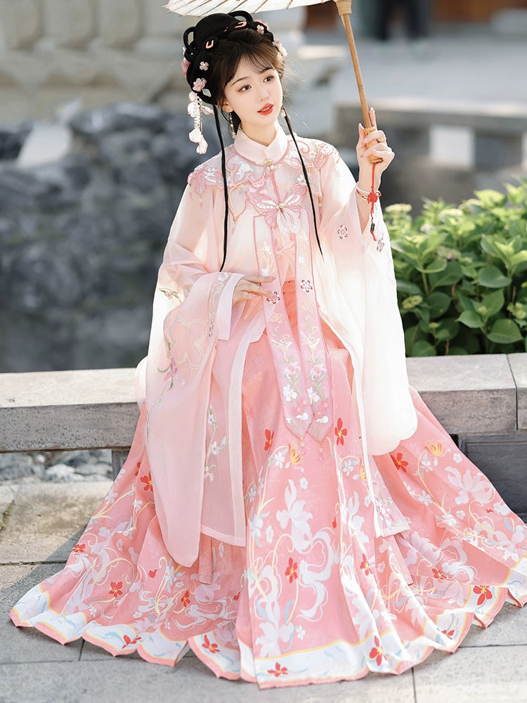 LOOKBOOK SERIES Ming Dynasty Horse Face Skirt Pink Blue Set