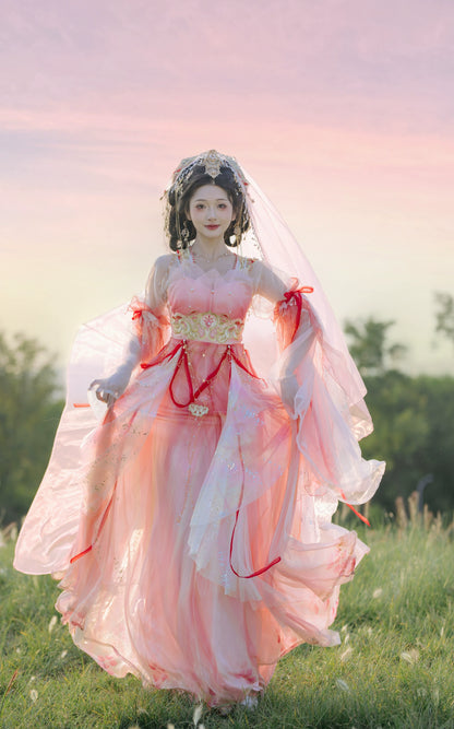 Lookbook Series Tang Hanfu Western Pink Princess