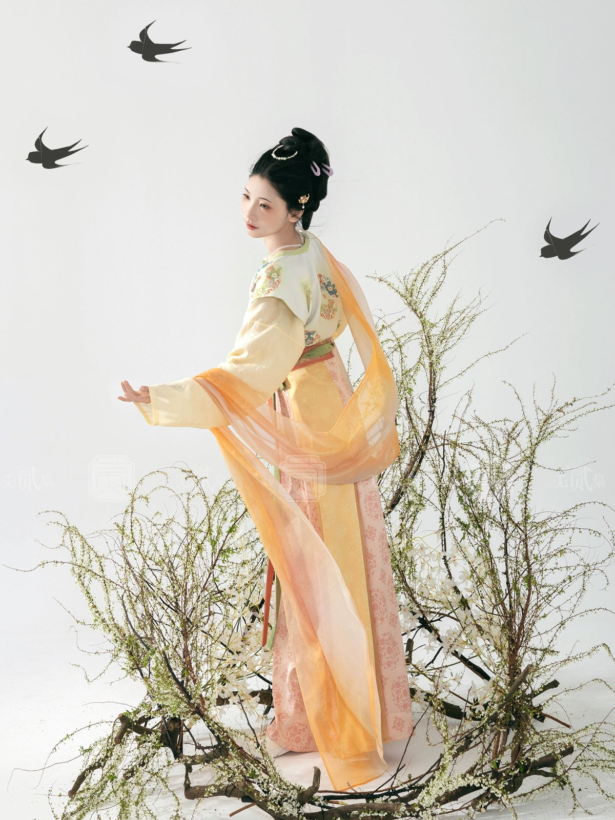 Lookbook Series Gu Meng Chang'an Autumn Tang Hanfu