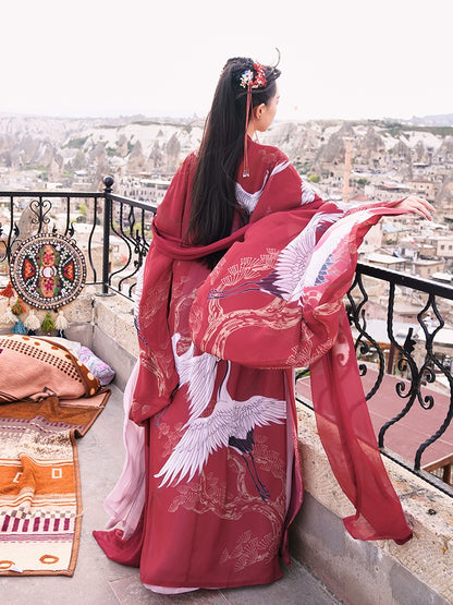 Song He Xian : Telomerase-Skirt-Large Sleeve Shirt