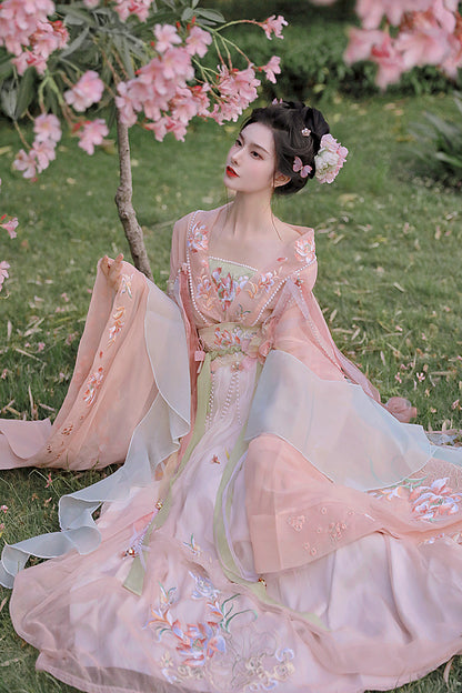 Wei Jin Dynasty DARUXIU BIJIA Hanfu Qipao Cheongsam Dress Skirt