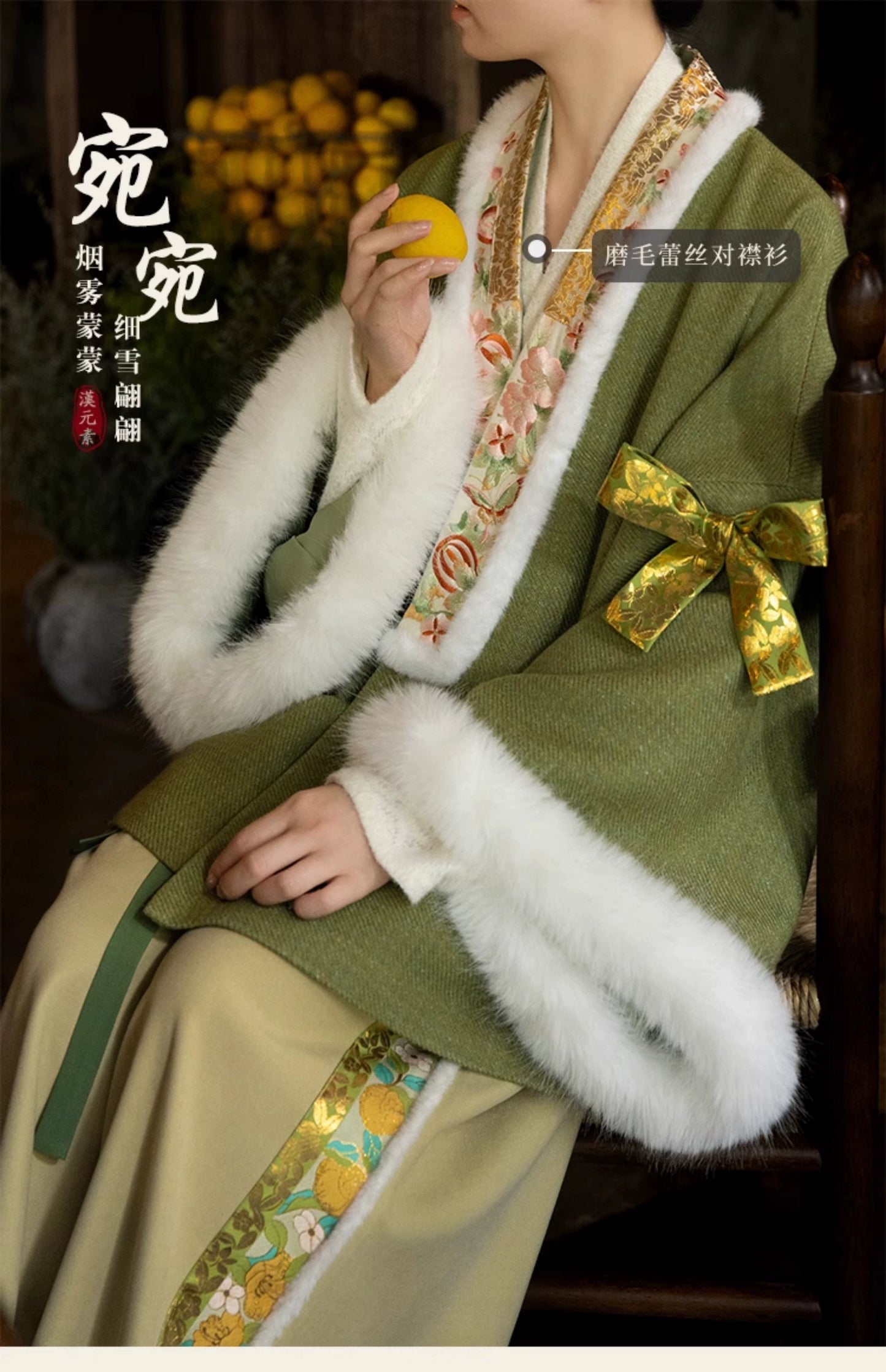 Lookbook Series Palace Ming Dynasty Hanfu Wan Wan