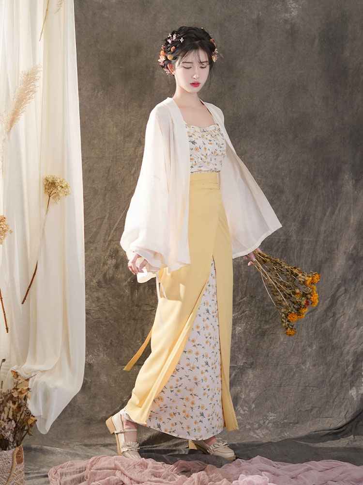 Song Dynasty Modern Hanfu Qipao Cheongsam Dress Skirt, gifts for women 2024